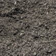 Black+Mulch-1