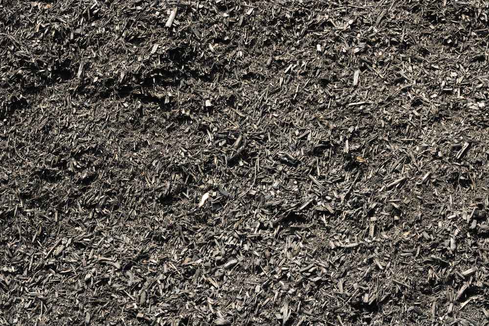 Black+Mulch-1