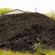 Black+Mulch-2