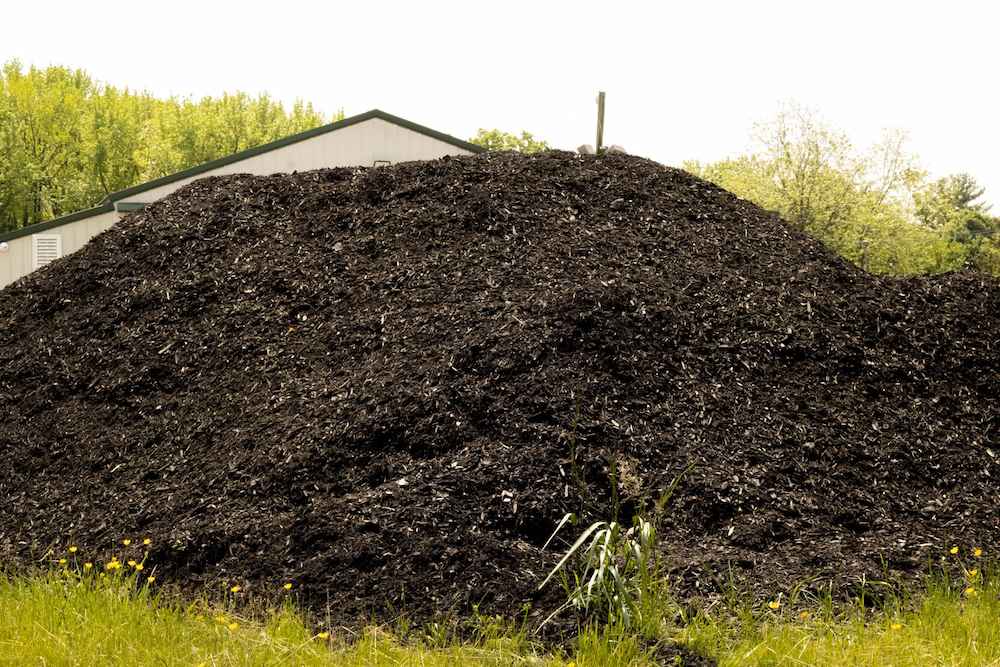 Black+Mulch-2